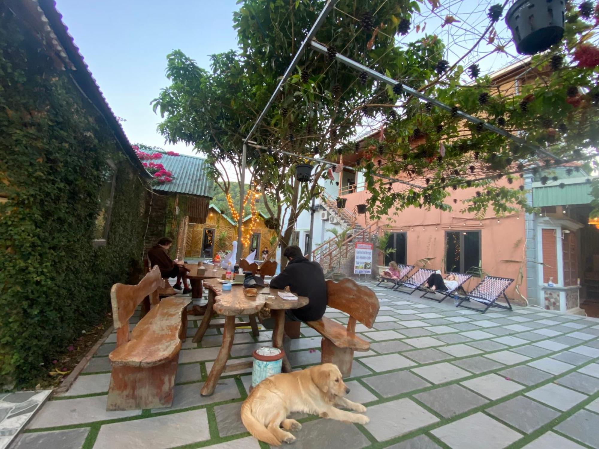 Cat Ba Rustic Homestay Hien Hao Esterno foto