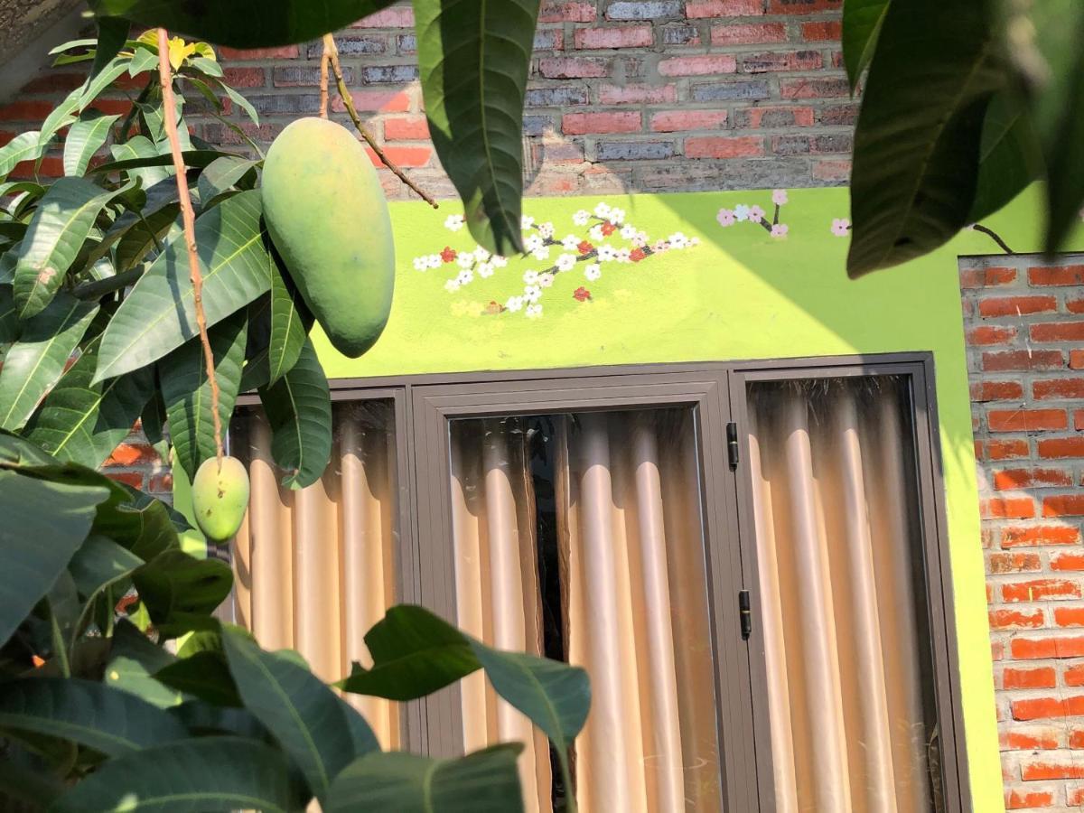 Cat Ba Rustic Homestay Hien Hao Esterno foto