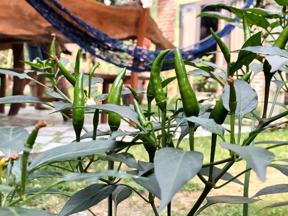 Cat Ba Rustic Homestay Hien Hao Esterno foto